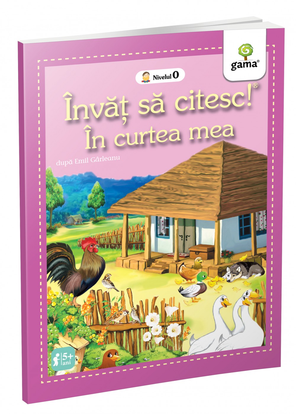 În curtea mea