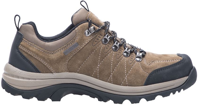Pantofi de protectie SPINNEY