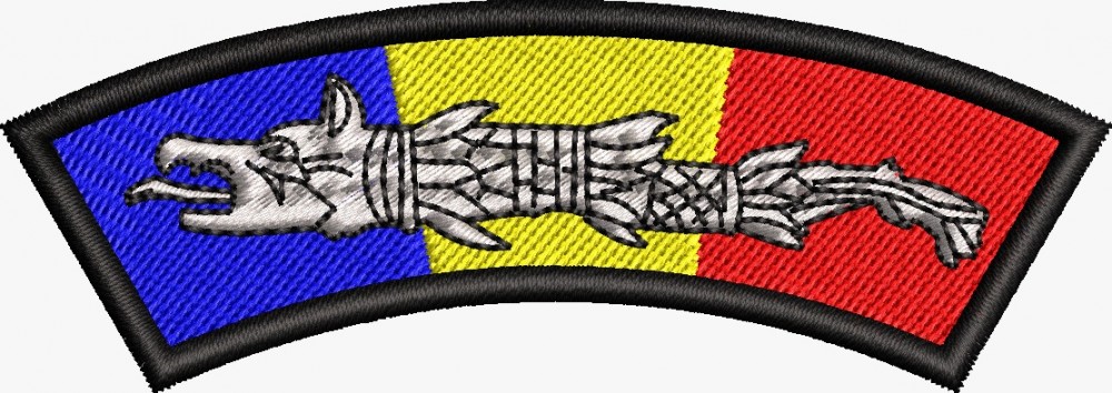 Patch-uri militare  / EMBLEMA CAP DACIC TRICOLOR