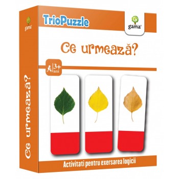 Ce urmează?