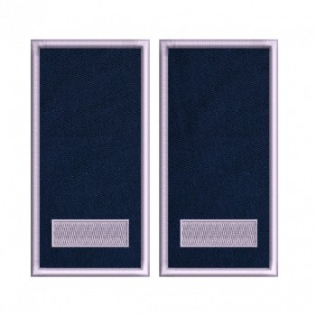 GRADE AGENT POLITIE